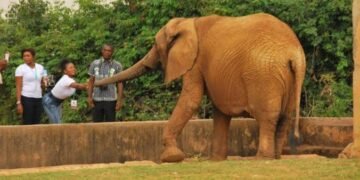 Christmas: Group Jubilates over Rehabilitation of Jos Wildlife Park