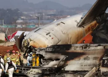 179 Presumed Dead as Plane Carrying 181 Crashes in South Korea