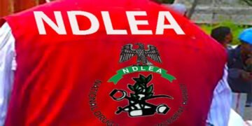 NDLEA Arrests 415 Suspects, Seizes 1.2 Tonnes of Hard Dugs in Bauchi