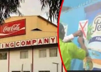 Lagos Seals Coca-Cola, Guinness, FrieslandCampina