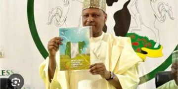 Between Japan’s Kaizen Philosophy and Nigeria’s National Values Charter, By Temitope Ajayi 