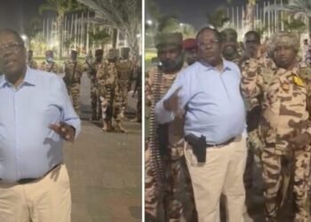 19 Dead in Attack on Chad’s Presidential Complex in N’Djamena