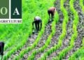 Nigerian Govt to Privatise Bank of Agriculture for Greater Efficiency
