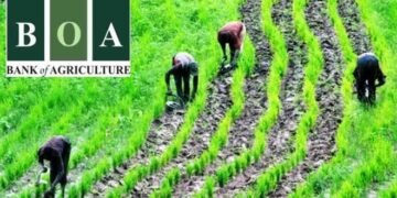 Nigerian Govt to Privatise Bank of Agriculture for Greater Efficiency
