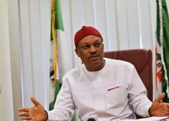 Anyanwu: ‘Why I Returned to Office as PDP National Secretary’