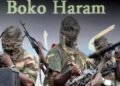 Why Nigerian Military Hasn’t Wiped Out Boko Haram for 16 Years , CDS Musa Reveals