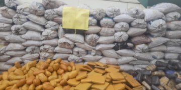 Customs Intercept N398m Cannabis Sativa in Lagos
