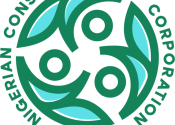 Credicorp N20Bn Fund Key to Brand New Vehicle Market for Nigerians, Says TMV