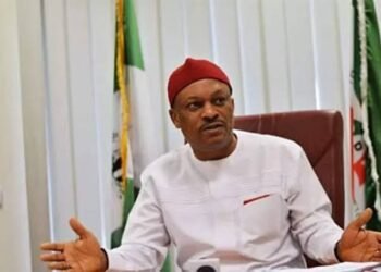 PDP Govs, BoT Targeting me over Ties with Wike, Says Anyanwu