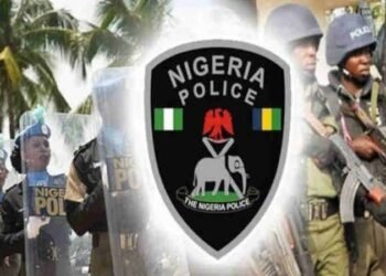 3,907 Rifles Missing from Police Formations, Commands, Senate Reveals
