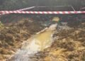 TNP Explosion Caused By Sabotage, Says Niger Delta Group