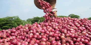 NAN Survey: Prices of Onions, Beans, Others Crashing in FCT, Environs