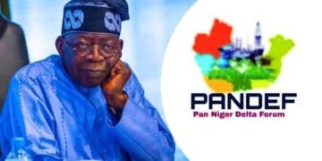 Rivers Emergency Rule: Tinubu Has Stabbed Niger Delta in the Back, PANDEF Says
