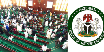 Reps Direct NCC to Block All P0rnographic Sites in Nigeria