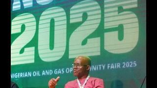 Shell Sees Bright Future for Nigerian Companies in Offshore Developments