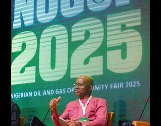 Shell Sees Bright Future for Nigerian Companies in Offshore Developments