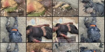 Troops Neutralise 16 Terrorists in Borno  Nigerian Army Says