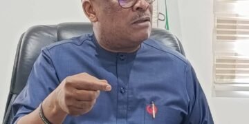 PDP Crisis: Embattled Anyanwu Insists, ‘I Remain Party’s National Secretary’