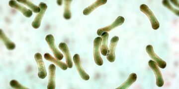 Diphtheria: Edo Govt Takes Delivery of Vaccines to Combat Disease