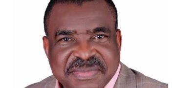 OPINION: Democracy, GDP Growth, Poverty and Insecurity in Nigeria, By Magnus Onyibe