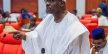 Tinubu Being Misled by Close Aides, Nigerians Losing Patience, Ndume Says