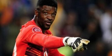 2026 WCQ: Akpeyi Gives Verdict on Controversial Super Eagles’ Goal