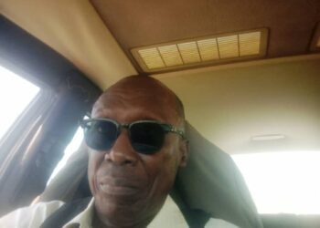 My Binoculars: Dear Governor Babagana Zulum, Still on the Health Sector Opinion by Sam Kayode