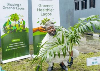 Lagos Govt Officials Preach ‘Give Back to Nature’, Plant Trees at Ndubusi Kanu Park