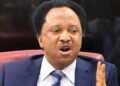 3rd Term Bid: Only Ken Nnamani Can Confirm If Obasanjo Bribed NASS, Says Shehu Sani
