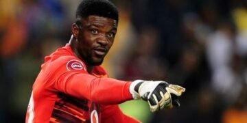 2026 WCQ: Ex-Super Eagles Goalkeeper Daniel Akpeyi Makes New Claims About Chelle, Osimhen