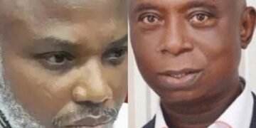 Nnamdi Kanu’s Release Will Bring Peace to South-East , Says Ned Nwoko