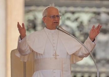 Pope Leo Appoints Nigerian Priest as Vice Regent of Papal Household