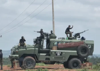 Army Confirms Borno Ambush, Denies Abduction of Commander