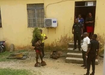 Drama as Akwa Ibom Police Arrest Masquerade for Public Disturbance Amid Statewide Ban