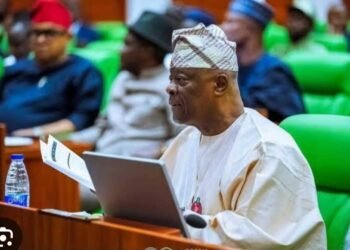 OPINION BY TEMITOPE AJAYI | Distinguishing Between Federal Government Revenue and the Federation Account