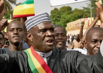 Mali Lawmaker Jailed in Ivory Coast for Insulting President