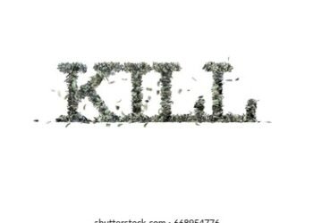 Another Nigerian Killed in South Africa