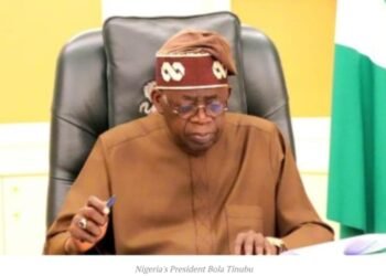 OPINION | Is Nigeria Borrowing to Survive or to Build?, By Blaise Udunze