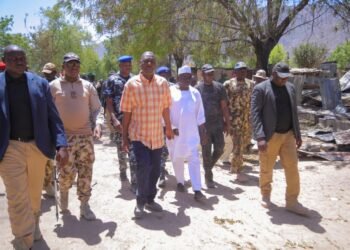 A Bulwark for Borno’s Resilience: A Few Of Zulum’s Security Feats