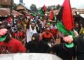 Nnamdi Kanu: IPOB Releases Details Of N10m Payment to Ifeanyi Ejiofor, Dismisses Pro Bono Claims