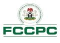 OPINION | FCCPC and Digital Theft: Time to Act, By Segun Adediran