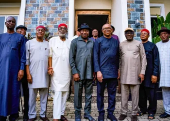 Why I met with Jonathan, Peter Obi Breaks Silence on Closed-door Meeting 