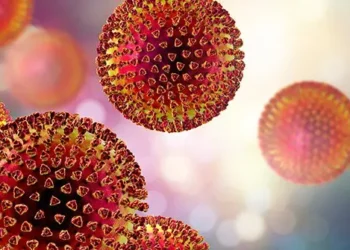 44-Year-Old Woman Dies from Lassa Fever in Ibadan