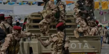 Chad Denies Targeting Civilians in Operation against Boko Haram