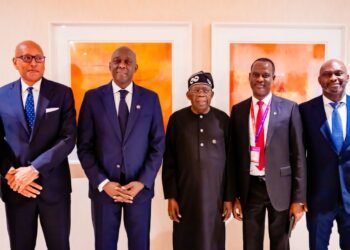 IFC Coming to Nigeria to Invest in Livestock, Energy, Housing, Says MD Diop Makhtar