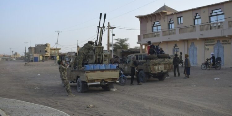 *Malian rebels