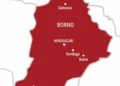 6 ISWAP Bomb Makers Killed in Borno IED Explosion
