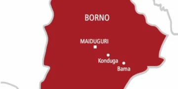 6 ISWAP Bomb Makers Killed in Borno IED Explosion