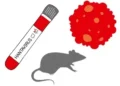 Important things to know about Hantavirus