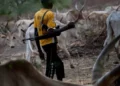 Residents Flee as Suspected Herdsmen Attack Another Community in Benue
